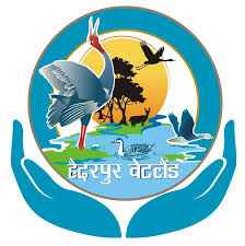 अप्रितम सौंदर्य एवं अद्भुद जैव विविधता के लिए विख्यात Haiderpur Wetland:   बन रहा है विलुप्त होते पशु पक्षियों का घरौंदा