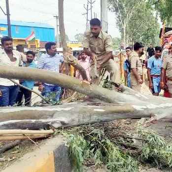 Muzaffarnagar News: पुलिस ने पेड को हटाने के लिए चलाई कुल्हाडी