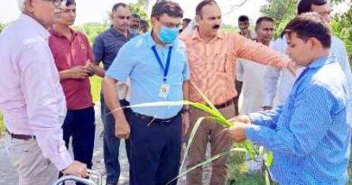 Muzaffarnagar News: पूर्व निर्देशक गन्ना शोध केंद्र ने गन्ना फसल का किया निरीक्षण