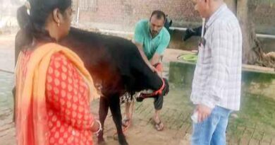 Muzaffarnagar News-   पशु चिकित्सकों द्वारा गौवंश आश्रय स्थल का निरीक्षण किया