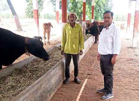 Muzaffarnagar News-विभिन्न विकास खंड पशु चिकित्सकों ने किया निरीक्षण Muzaffarnagar News-विभिन्न विकास खंड पशु चिकित्सकों ने किया निरीक्षण