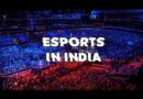 एशियाई खेलों में E-Sports होगा डेब्यू,फैंटेसी खेल महासंघ ने किया स्वागत