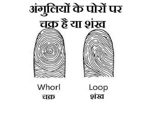 Astro: अंगुलियों के पोरों पर बने चक्र से जानिए अपना भविष्य, 16 रोचक जानकारी