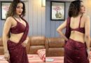 साड़ी में Monalisa ने दिखाया अपना Sexy फिगर