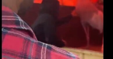 Amethi News: सारस पक्षी और आरिफ की बहुचर्चित दोस्ती का अंत, अखिलेश यादव ने ट्वीट कर तंज कसा