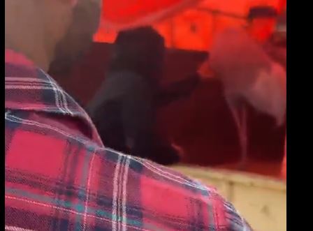 Amethi News: सारस पक्षी और आरिफ की बहुचर्चित दोस्ती का अंत, अखिलेश यादव ने ट्वीट कर तंज कसा