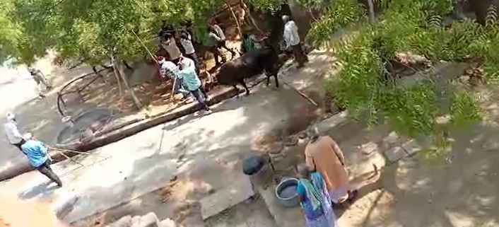 Madhya Pradesh: जमीन पर जंग, समझौता, धोखा, बदला…और बिछ गईं 6 लाशें… चारो तरफ दिखा खून ही खून… Madhya Pradesh: जमीन पर जंग, समझौता, धोखा, बदला…और बिछ गईं 6 लाशें… चारो तरफ दिखा खून ही खून…