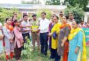 Muzaffarnagar News: अधिशासी अभियन्ता विद्युत द्वारा वृक्षारोपण कर बालिकाओं का किया गया उत्साहवर्धन