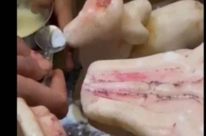 Aligarh में नंदी बाबा के दूध पीने की चर्चा