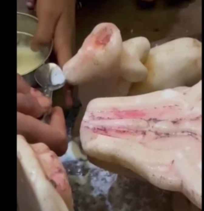 Aligarh में नंदी बाबा के दूध पीने की चर्चा Aligarh में नंदी बाबा के दूध पीने की चर्चा