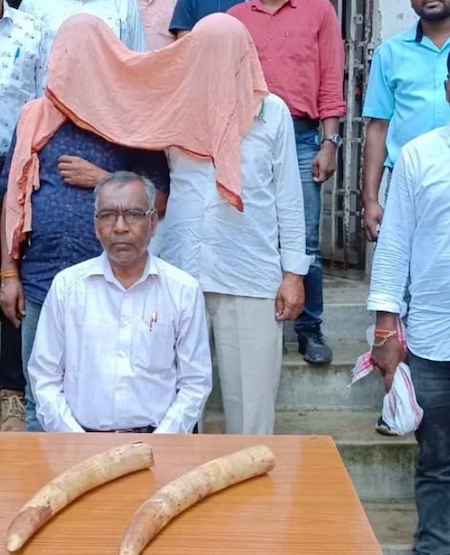 Gumla: हाथी दांत की तस्करी के मामले में बड़ी कार्रवाई, दो तस्कर गिरफ्तार Gumla: हाथी दांत की तस्करी के मामले में बड़ी कार्रवाई, दो तस्कर गिरफ्तार