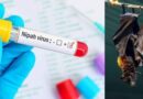 केंद्रीय स्वास्थ्य मंत्री मांडविया ने की Nipah Virus से दो लोगों की मौत की पुष्टि