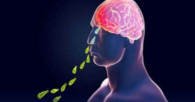 Brain-Eating Amoeba: पाकिस्तानी व्यक्ति की मौत