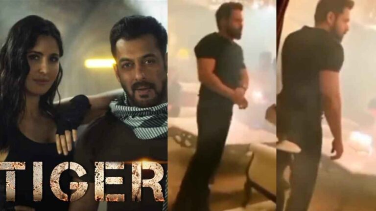 Tiger 3 Online साइट्स पर हुई लीक