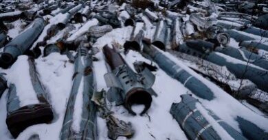 Sarov, Elektrostal And Desnogorsk