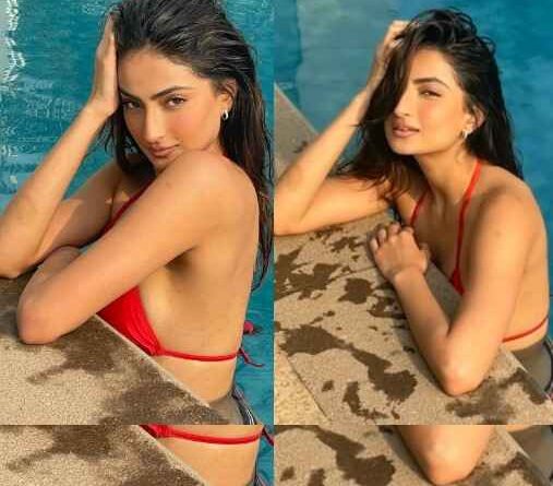 क्या एक साथ गए थे गोवा वकेशन पर इब्राहिम-Palak Tiwari? क्या एक साथ गए थे गोवा वकेशन पर इब्राहिम-Palak Tiwari?