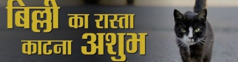 Animal Symbolism: अगर भूल से भी ये जानवर रास्‍ता काट लें, तो समझ लीजिए बदलने वाली है आपकी किस्मत?