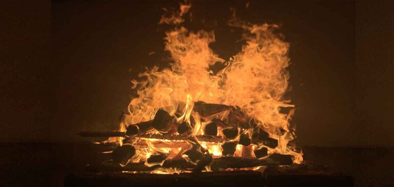 Kolkata Doctor Murder Case:  न्याय की पुकार और पश्चिम बंगाल में कानून व्यवस्था की सच्चाई