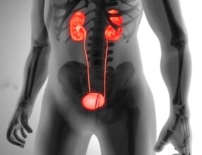 Nepal Kidney Trafficking Racket: ‘किडनी वाला गांव’ होक्शे से दिल्ली तक फैला अंतरराष्ट्रीय किडनी तस्करी नेटवर्क, सैकड़ों जिंदगियों की कीमत