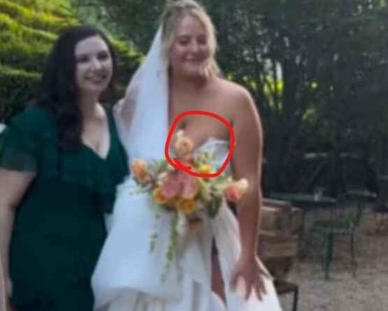 शादी की मस्ती में दुल्हन का ‘खिसका’ गाउन: Social Media पर वायरल हुआ Video, जानें दिलचस्प किस्सा! शादी की मस्ती में दुल्हन का ‘खिसका’ गाउन: Social Media पर वायरल हुआ Video, जानें दिलचस्प किस्सा!