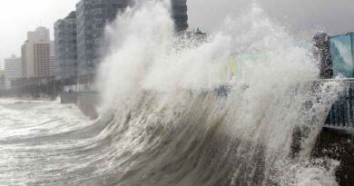 South Korea में “सफेद सुनामी” का कहर: सदी की सबसे भारी बर्फबारी ने बदली जिंदगी