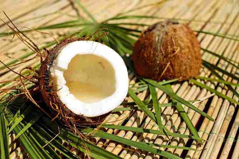 नारियल (Coconut) के सौंदर्य उत्पाद: प्राकृतिक उपचारों से त्वचा और बालों को बनाएं खूबसूरत नारियल (Coconut) के सौंदर्य उत्पाद: प्राकृतिक उपचारों से त्वचा और बालों को बनाएं खूबसूरत