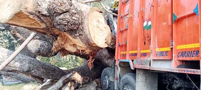 Muzaffarnagar की गंग नहर पटरी पर घने कोहरे में हुआ बड़ा हादसा, ट्रक लकड़ियों में घुसा- ग्रामीणों में नाराजगी Muzaffarnagar की गंग नहर पटरी पर घने कोहरे में हुआ बड़ा हादसा, ट्रक लकड़ियों में घुसा- ग्रामीणों में नाराजगी
