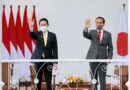 Japan, Indonesia Vow To Cooperate For Success Of G-20 Summit
