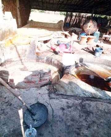 Muzaffarnagar/पुरकाजी का दर्दनाक हादसा: उबलते गन्ने के रस में गिरकर मजदूर की जलकर मौत, परिवार में मचा कोहराम