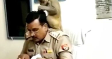 पुलिस स्टेशन में बंदर की मसाज सर्विस! Viral वीडियो में अफसर को सिर पर बैठकर प्यार से दे रहा मालिश, इंटरनेट पर मचा बवाल