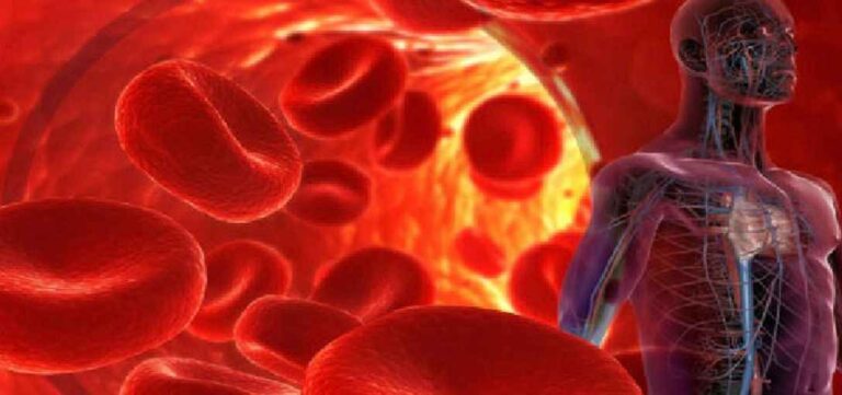 उच्च रक्तचाप (High Blood Pressure) की चमत्कारी होम्योपैथिक दवाएं: बिना साइड इफेक्ट करें ब्लड प्रेशर कंट्रोल