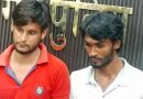 Muzaffarnagar Fake Drone Panic: Pigeons With Red-Green Lights