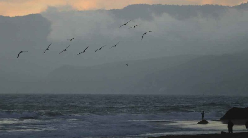 970 किमी/घंटा की रफ्तार! जेट से तेज़ Tsunami सुनामी 🌊लहरों का कहर — रूस से चिली तक मचा हड़कंप?