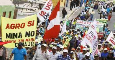 Peru Youth Protest