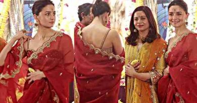 Alia Bhat In Durga Puja