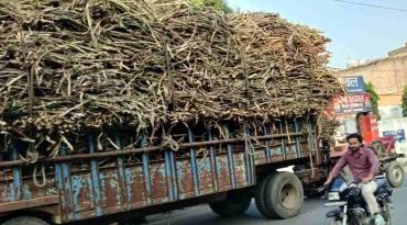 गन्ने के ओवरलोड ट्रकों से हो रहा है Muzaffarnagar शहर में खतरनाक हालात, प्रशासन की लापरवाही के कारण बढ़ रहे हादसे? गन्ने के ओवरलोड ट्रकों से हो रहा है Muzaffarnagar शहर में खतरनाक हालात, प्रशासन की लापरवाही के कारण बढ़ रहे हादसे?