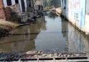 मीरापुर के सिखरेड़ा गांव में जलभराव से हाहाकार! गंदे पानी में मच्छरों का आतंक, बच्चों की पढ़ाई पर संकट – ग्रामीणों ने की जिलाधिकारी Muzaffarnagar से गुहार