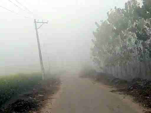 कोहरे-Fog की चादर में ठिठका गांव–किसान बेहाल: चरथावल–चोकड़ा मार्ग पर जनजीवन ठप, गन्ना सीजन पर भारी असर कोहरे-Fog की चादर में ठिठका गांव–किसान बेहाल: चरथावल–चोकड़ा मार्ग पर जनजीवन ठप, गन्ना सीजन पर भारी असर