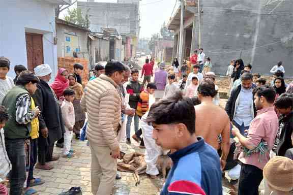 Muzaffarnagar में तालाब से नीलगाय के बच्चे का रोमांचक रेस्क्यू: पुलिस और ग्रामीणों की सूझबूझ से टला बड़ा हादसा