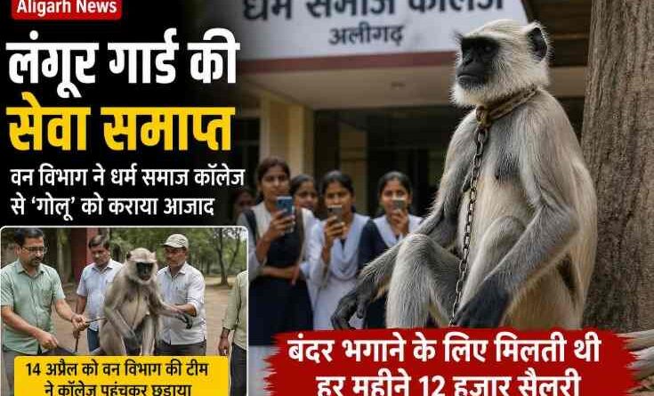 Aligarh Langur Guard Removed: धर्म समाज कॉलेज से ‘गोलू’ की छुट्टी, वन विभाग ने छुड़ाया—बंदरों से बचाव की अनोखी व्यवस्था खत्म