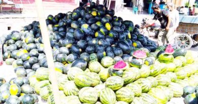 Watermelon