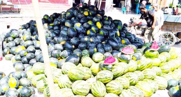 गर्मी बढ़ते ही बाजारों में बढ़ी Watermelon की मांग, लेकिन इन चीजों के साथ खाने से बिगड़ सकती है सेहत 1 Watermelon