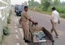 Muzaffarnagar हादसा: रेत से भरे तेज रफ्तार ट्रक ने महिला को कुचला, मौके पर मौत; गुस्साए ग्रामीणों ने लगाया जाम, चालक पुलिस हिरासत में Muzaffarnagar News