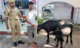 समाचार (Muzaffarnagar News) 5 Muzaffarnagar News