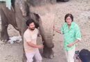 Bollywood Actor Chunky Pandey Explores Corbett Tiger Reserve