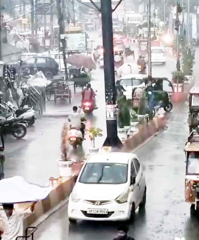 Muzaffarnagar में झमाझम बारिश से मौसम हुआ सुहाना: भीषण गर्मी से मिली राहत, किसानों के खिले चेहरे; कई इलाकों में जलभराव भी 1 Muzaffarnagar News Rain