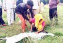 Muzaffarnagar के मोरना में खाली प्लॉट में मिला युवक का शव, सिर पर चोट का निशान; रविवार से था लापता, परिवार में मचा कोहराम Muzaffarnagar News