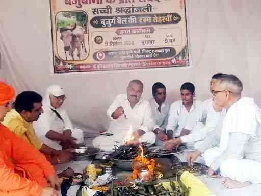 बैल की मौत पर किसान ने कराई ऐसी तेरहवीं कि देखने उमड़ा गांव, वैदिक मंत्रों के बीच हुआ भव्य हवन-यज्ञ; 6 साल तक निभाई बेजुबान से निष्ठा-Muzaffarnagar 1 Muzaffarnagar News
