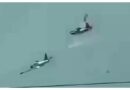 Philippines-Air-Force-Two-Sf-260-Aircraft-Collide-Four-Pilots-Killed