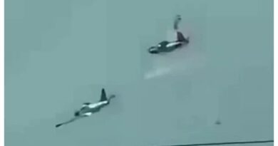 Philippines-Air-Force-Two-Sf-260-Aircraft-Collide-Four-Pilots-Killed